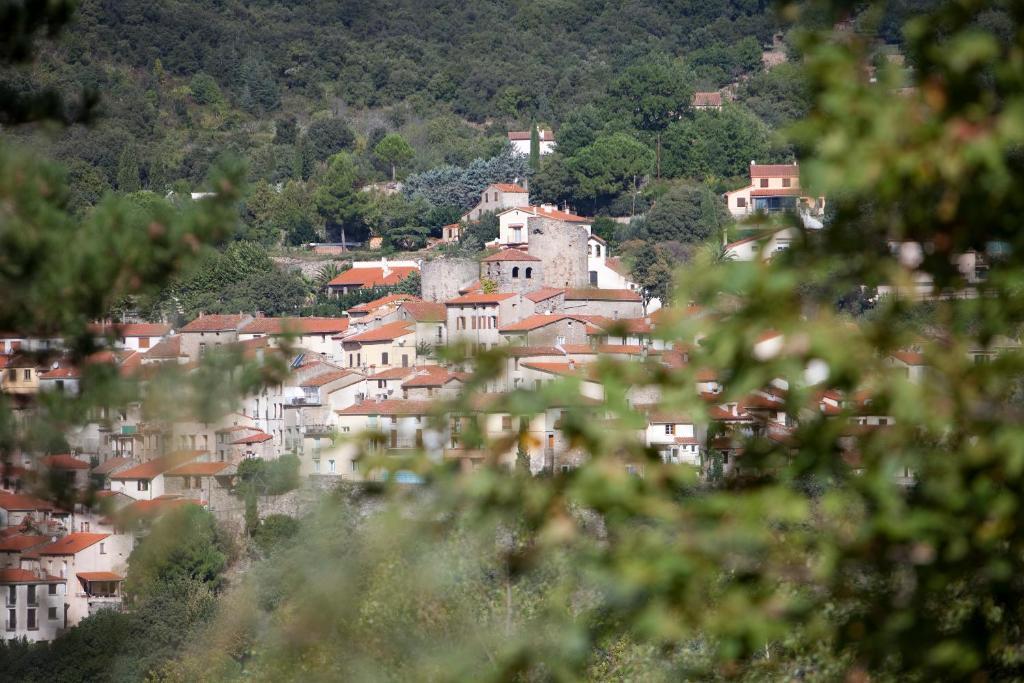 Отель La Pinede Амели-ле-Бен-Палальда Номер фото